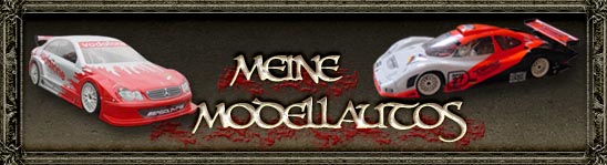 Meine Modellautos